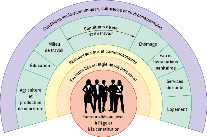 Déterminants sociaux de santé selon Dahlgren & Whitehead