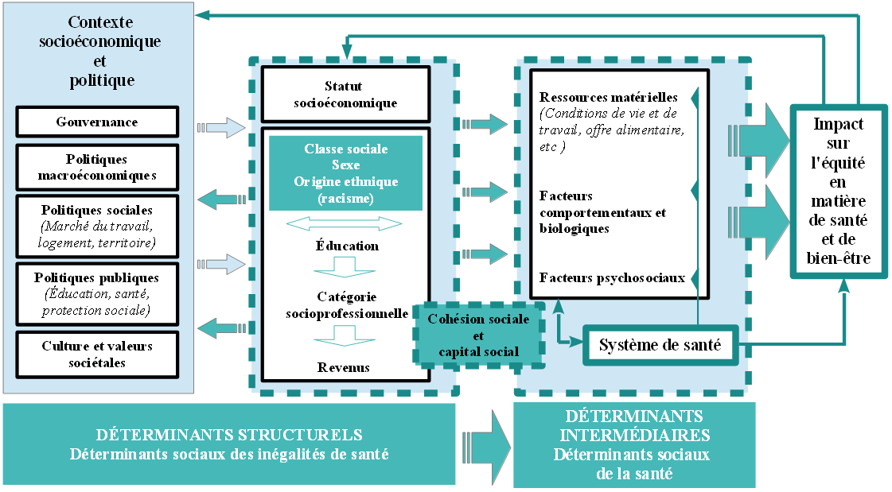 Modèle pathway (OMS, 2011)